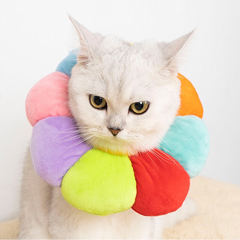 3 Stuks Kat Herstel Kraag Kat Bescherming Kraag Kegels Voor Katten Zonnebloem Nek Kat Kegel Anti Likken Herstel Kraag Om Te Voorkomen Dat Bijten Krabben P