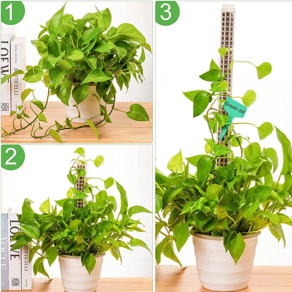 Palo de escalada para plantas, soporte de plantas, Marco enrejado, columna de musgo Sphagnum de agua, poste para vides de flores en maceta, extensión de escalada