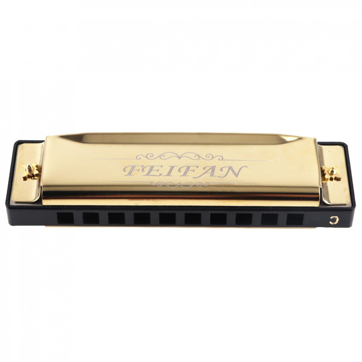 Instrument de musique en acier inoxydable, 10 trous, 20 tons, or mat, Harmonica C Key, bleu, harpe bouche, pour débutant