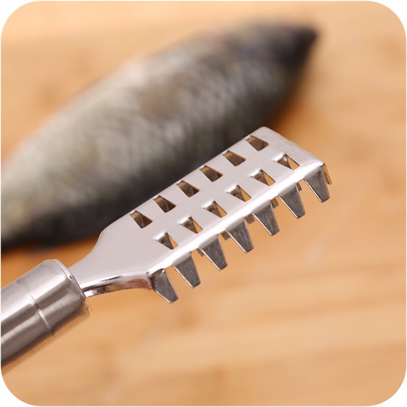1pc Stainless Steel Fish Scales Planing Scales Kitchen Supplies Small Scales Scraper Fish Tool