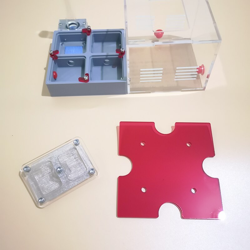 Große Größe Ant Nest Flache Nest Ant Farm Mit Test Rohre und Sonnenblende 3D Druck Matrix Insekt Liefert