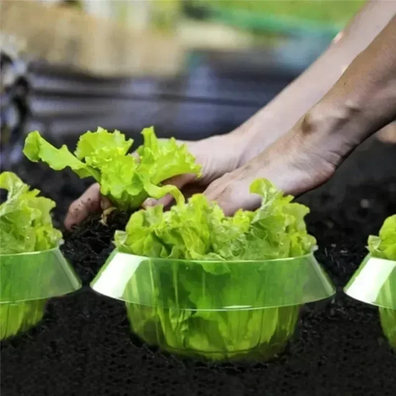 Planter sneglebeskyttelsesringe grøntsager dæksel plante sneglekrave beskyttelse grøn plantekasse skadedyrsbekæmpelse fælder haveværktøj