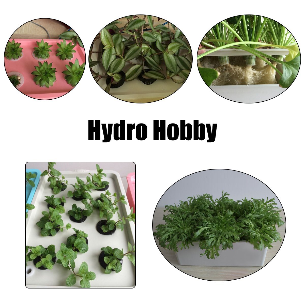 12/2 Holes Garden Plant Site Hydroponic Garden Pots Planters System Indoor Cabinet Box Grow Kit Bubble Nursery Pots