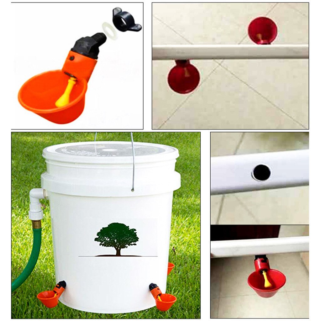 5pcs Chicken Drinker Cups For Chickens Red Quail Chicken Waterer Bowl Automatic Poultry Coop Feeder Water Drinking Cups