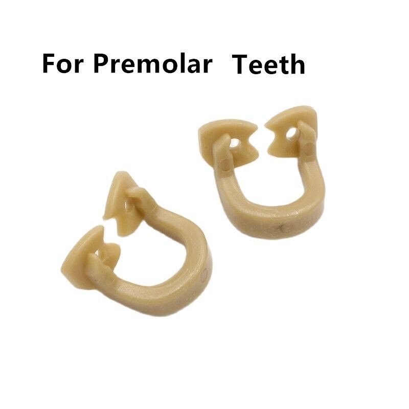 Abrazaderas de presa de goma Dental, Clip de barrera de goma, Material de resina para instrumento de laboratorio Dental, producto de odontología, 2 uds.: 2 pcs permolar teeth