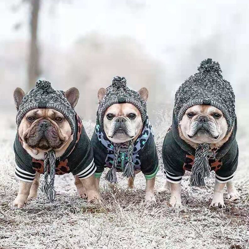 Gorro cálido de invierno para mascota, gorro de punto a prueba de viento para gato de Navidad, para perros pequeños y medianos, Chihuahua, Bulldog francés