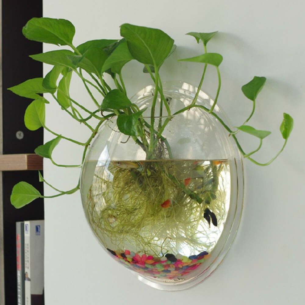 1pc 19.5cm Diameter Wall Mounted Acrylic Fish Bowl Plant Pot Hanging Fish Tank Transparent Planter Aquarium Ornament