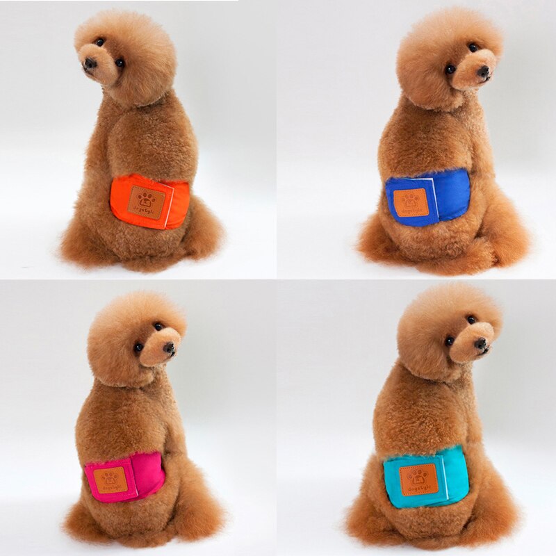 Couche réutilisable pour chien, sous-vêtement en coton, accessoire hygiénique pour animal de compagnie