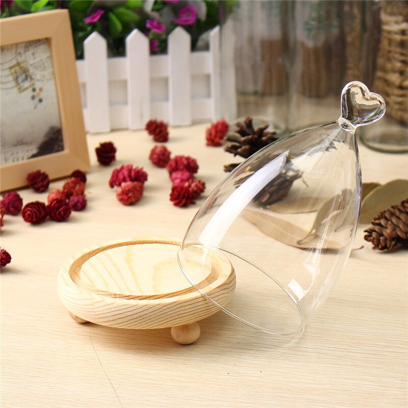 KiWarm Glass Display Cloche Bell Jar Dome Flower Immortal Preservation Vase Wooden Base Home Decor Ornament