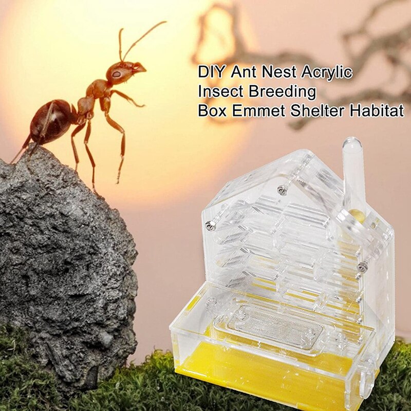Ant Nest Ant Farm Acrylic Farm Insect Cage Display Space For Ant Feeding, Ant Feeding Farm House Ants Moisturizing Den