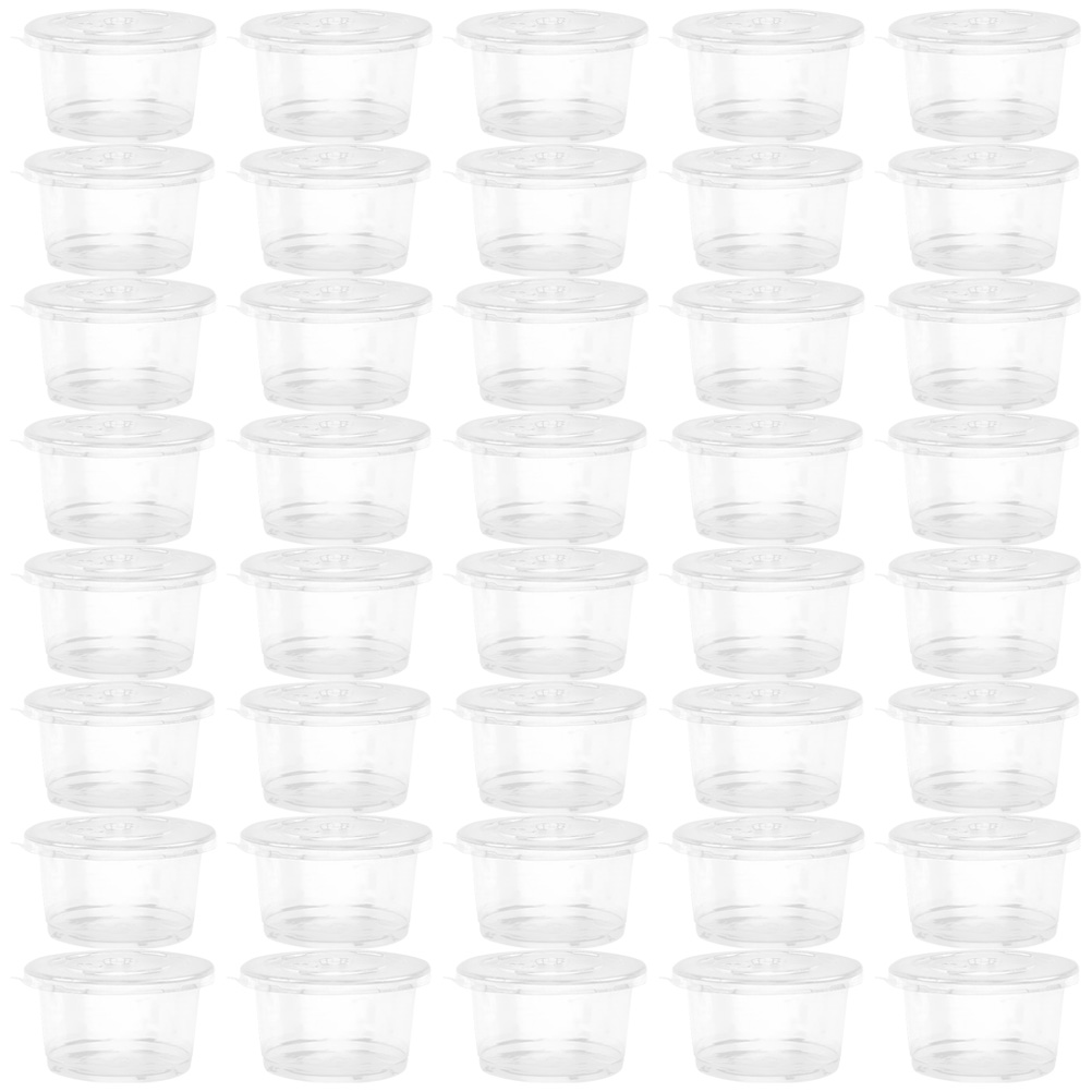 100 Pcs Disposable Pudding Cups Plastic Dessert Co... – Vicedeal