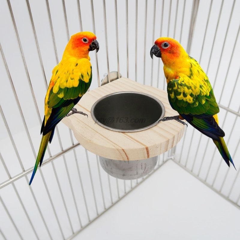 Vogel Voeden Bekers Met Klem Papegaai Kooi Opknoping Voedsel Waterbak Rvs Coop Cup Feeding Dish Feeder