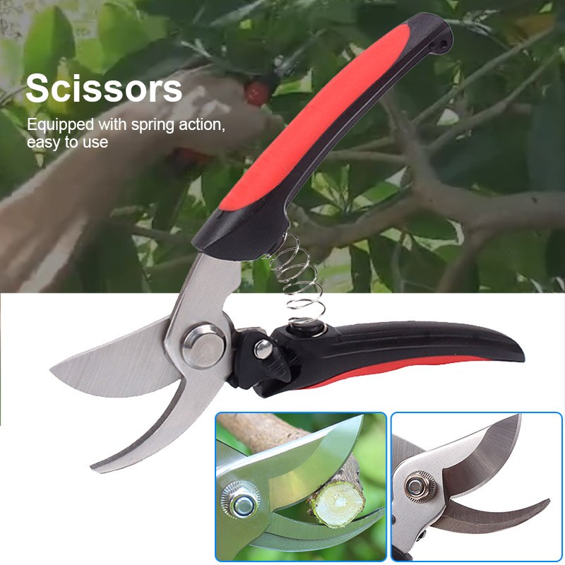 Tuin snoeischaar snijgereedschap tuinieren plantenschaar takkenschaar