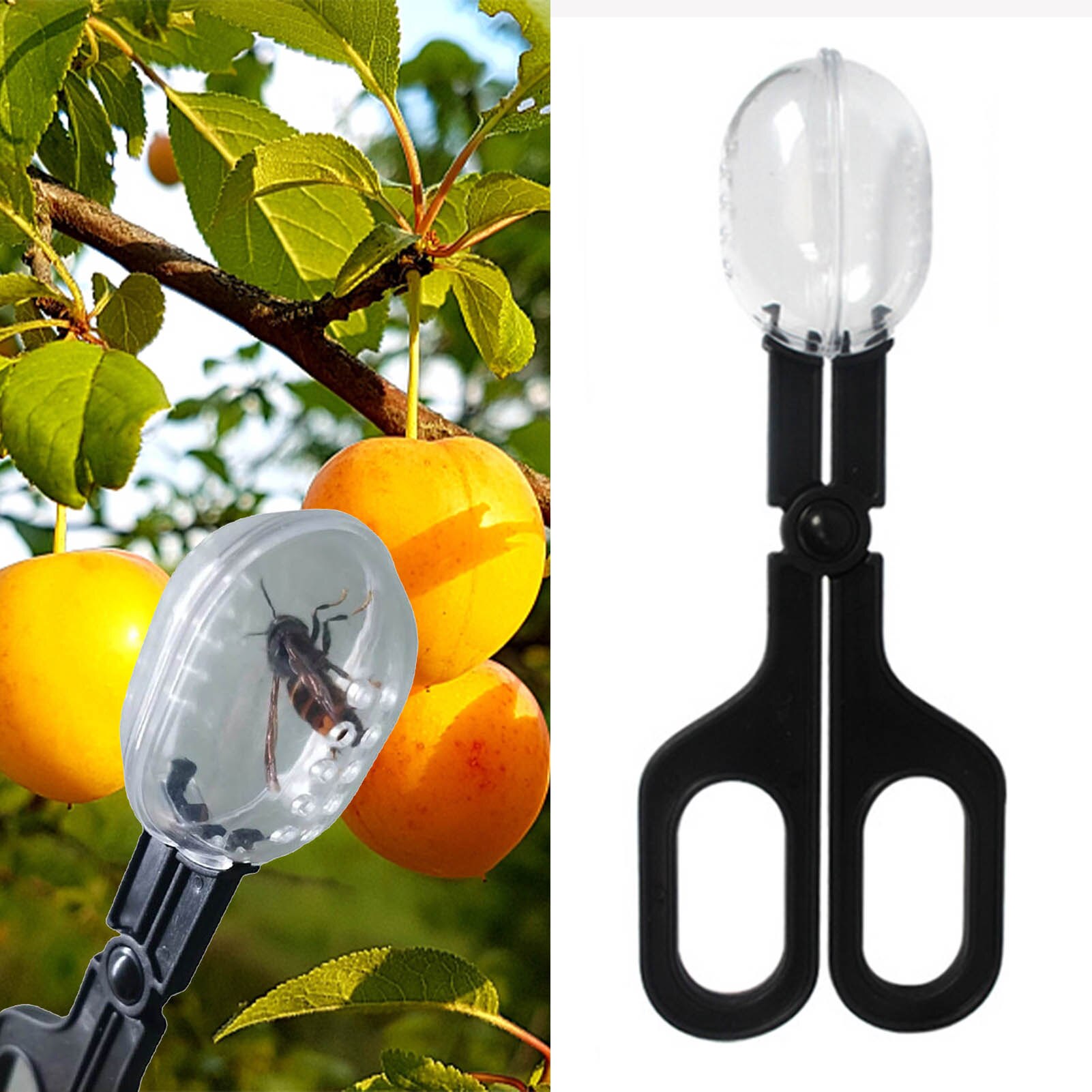 Koningin Clips Voor Bijen Koningin Clips Voor Bijen Zonder Andere Bijen Bijenkoningin Kooi Catcher Bijenteelt Tool Voor Imkers