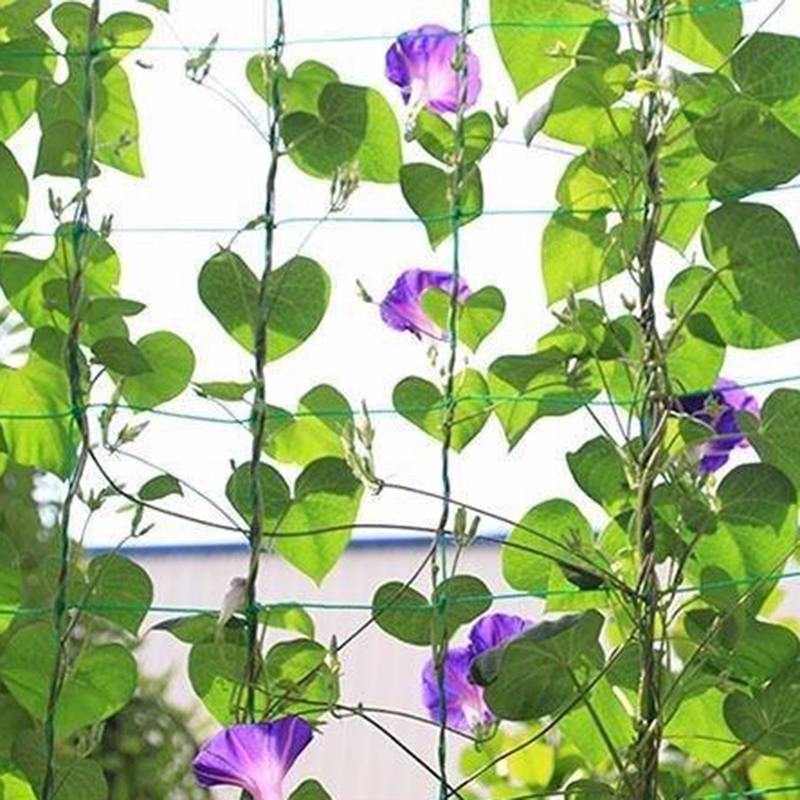 24 Strands Square Hole Plant Climbing Net Square Hole Garden plant Shelves Net Vegetable Flower Net Garden Weaving Grow Frame