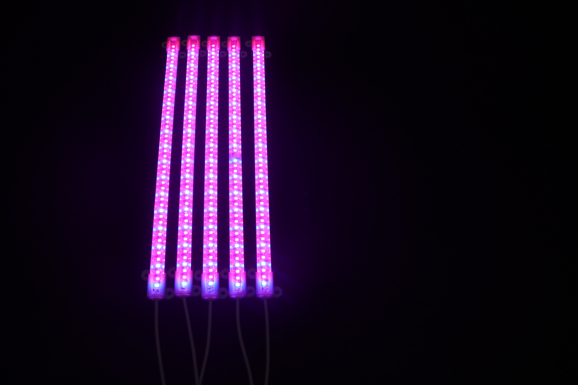 Indoor Groeien Licht Phyto Lamp Voor Planten Volledige Spectrum Phytolamp Led Bar Lamp Voor Planten Hoge Lichtopbrengst Led Grow licht: Five purple / EU
