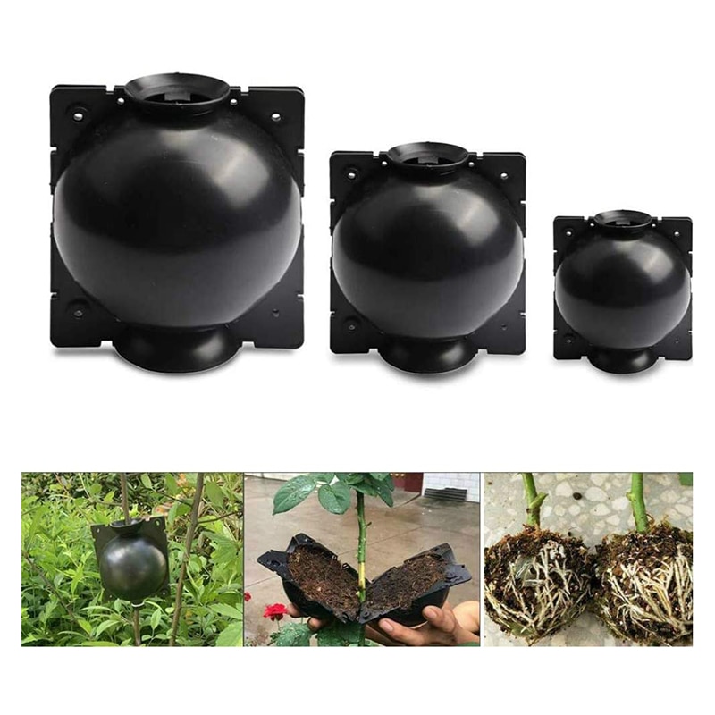 1-10pc Pianta Radicamento Sfera Innesto Radicamento In Crescita Scatola Albero di Innesto Kit Pianta Razza Tifo Dispositivo Giardino Innesto strumenti