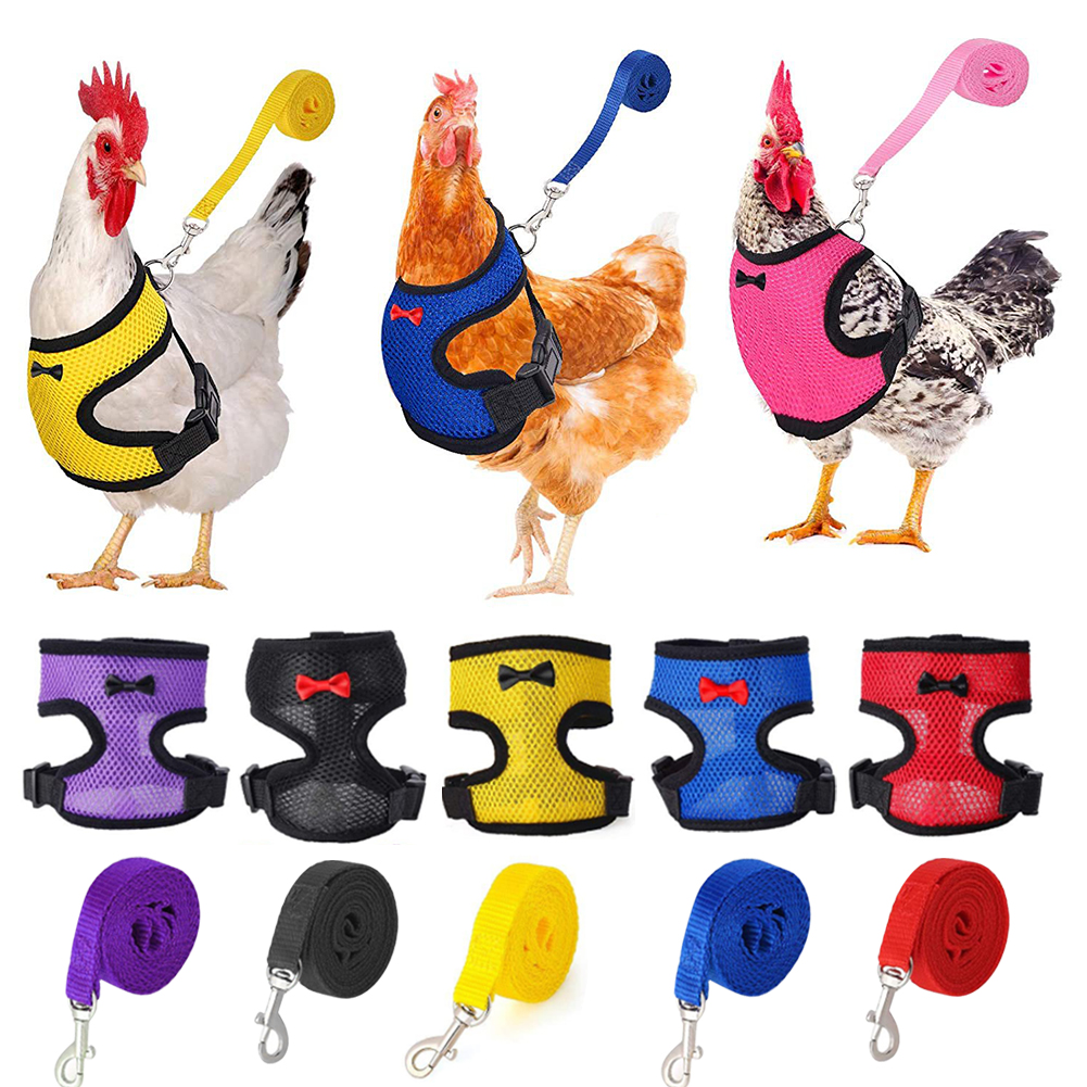 Breathable Mesh Chicken Duck Vest Leashes Poultry Hen Pet Harness With Matching Training for Walking Duck Goose Hen Rooster