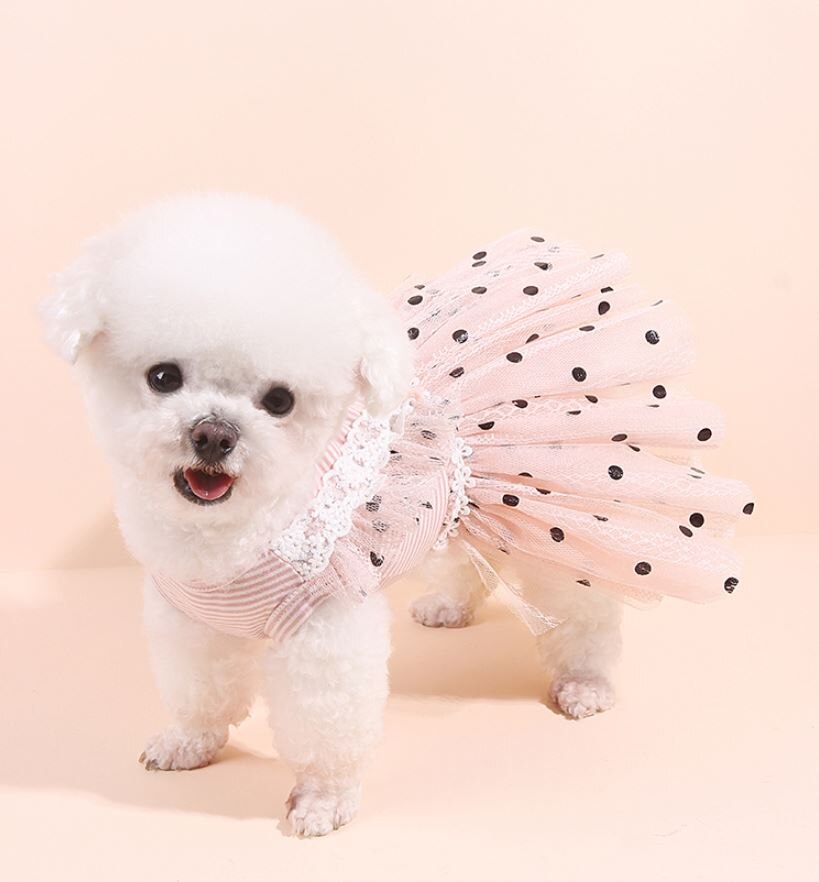 Prinses Honden Katten Jurk Tutu Dots Pet Puppy Wedding/Party Jurken Outfit
