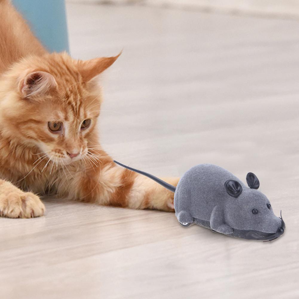 Souris électronique sans fil pour chat, télécommande, jouet amusant, interactif, accessoire pour animaux de compagnie