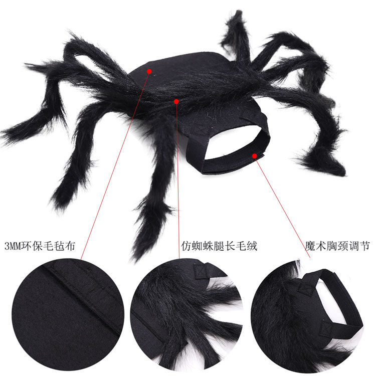 Spider Wing Flügel - Halloween Kostüm Accessoire Für Damen | Schwarz