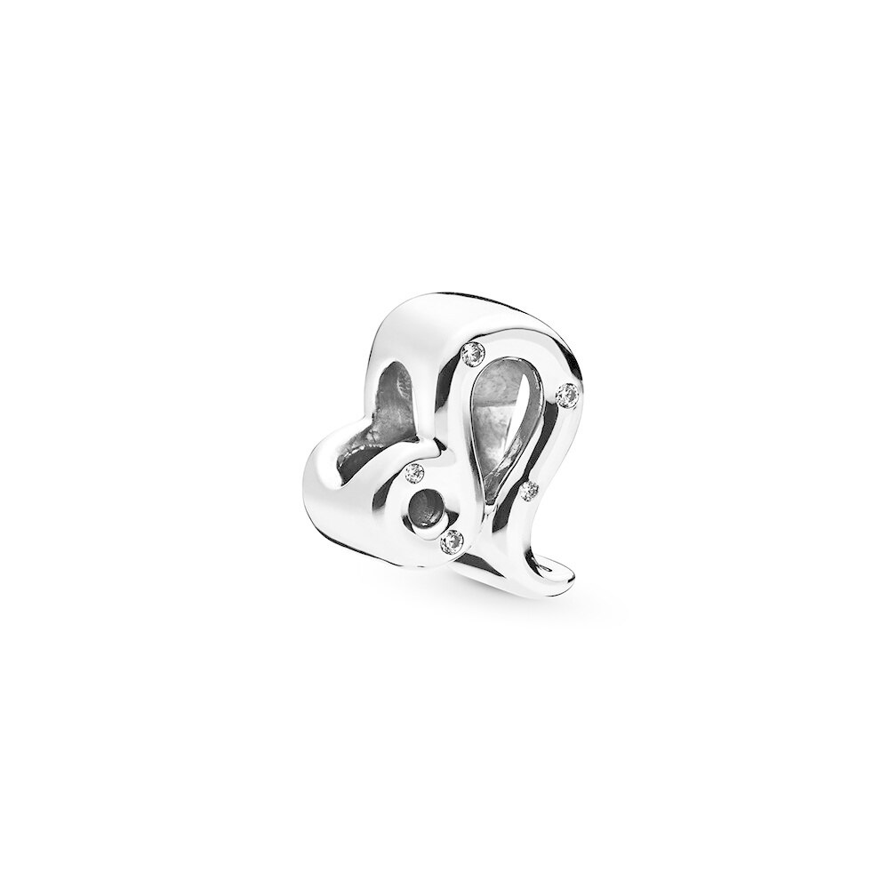 KAKANY 925 Sterling Silver Aquarius Constellation Zodiac Beads for Women Charm Lucky Bracelet DIY 12 Constellations: 798414C01