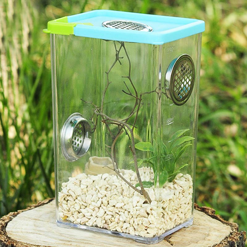 Insect Reptile Spider Terrariums Feeding Box Reptile Cage Hatching Container Rearing Tank Insect House