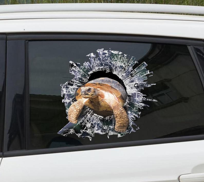 PACKOVE Autocollant De Voiture Tortue s Voiture Autocollants