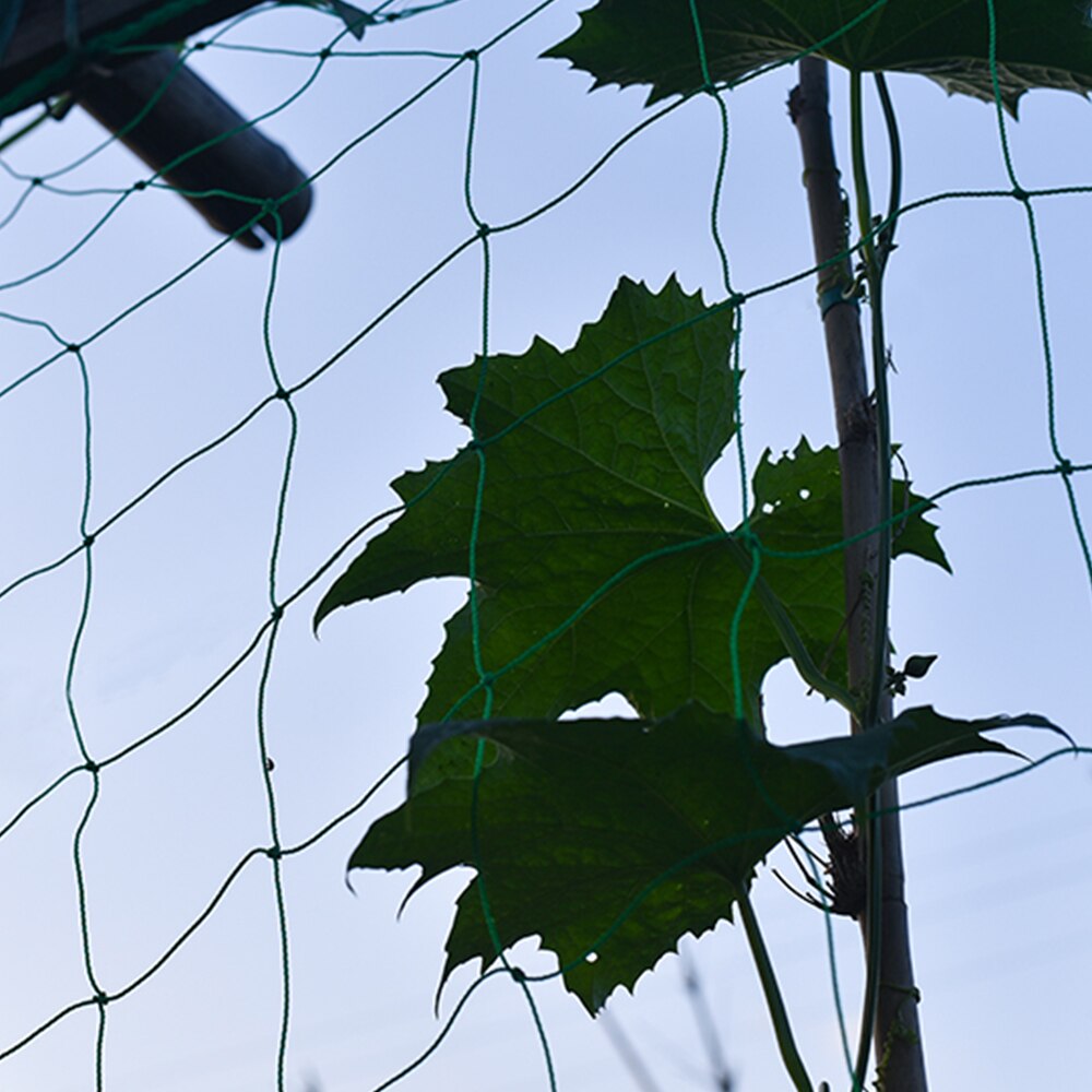Plant Net Climbing Frame Planting Plants Useful Trellis Netting Vegetable Orchard Home & Garden Gardening Plant Climbing Net
