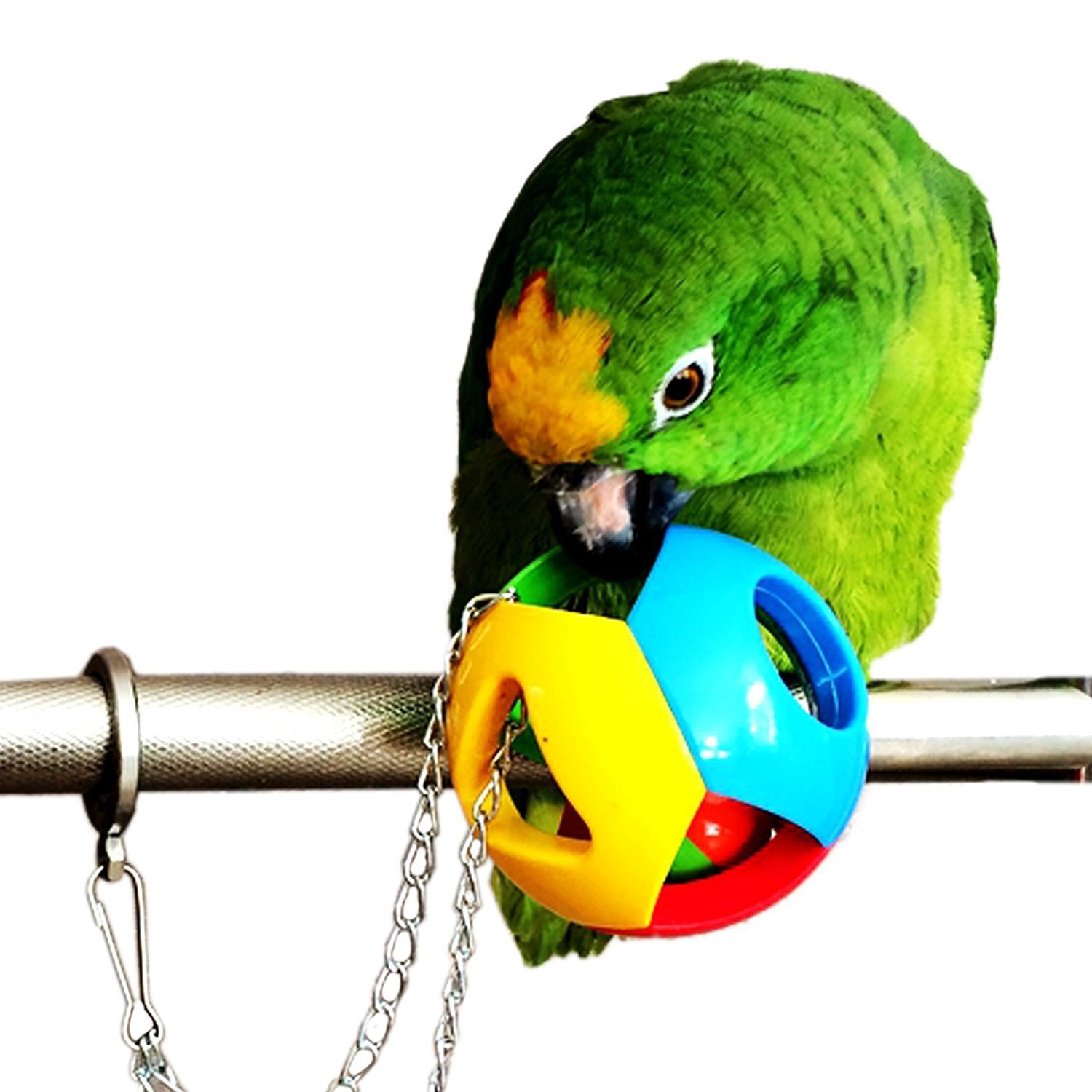 Lemmikki lintu puree lelu papukaija pureskella pallo leluja papukaijojen keinu häkki roikkuu cockatiel brinquedos linnut lelu lintu tarvikkeet