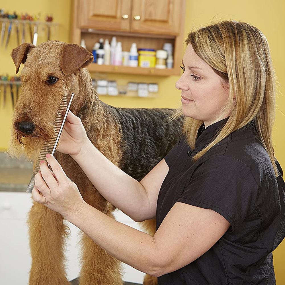 Glorystar Roestvrij Staal Hond Kam Voor Honden Katten Ontharing Grooming Tool