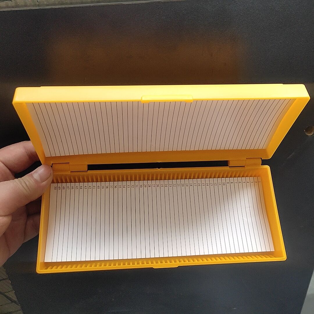 Plastic Microscope Slides Box 50pcs Pathological Slides Storage Holder Case