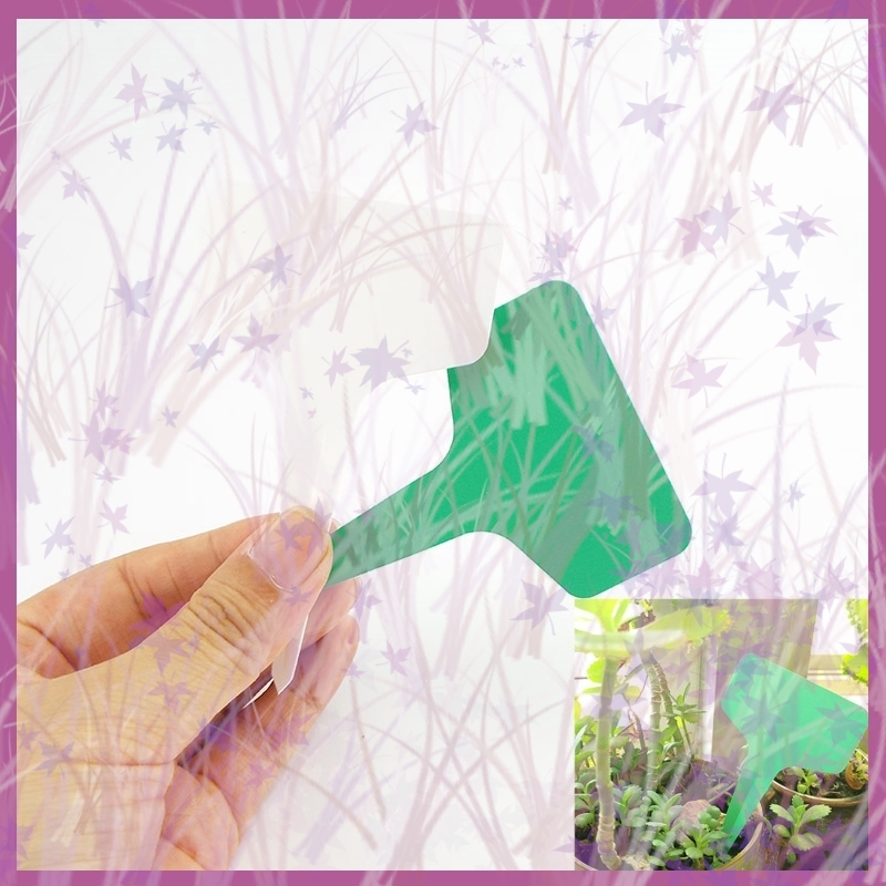 25/50/100 szt. Etykiety PVC robić oznaczania roślin w szklarniach, plastikowe znaczniki robić doniczek, wodoodporne znaczniki robić oznaczania ziół, narzędzia i akcesoria ogrodnicze B2