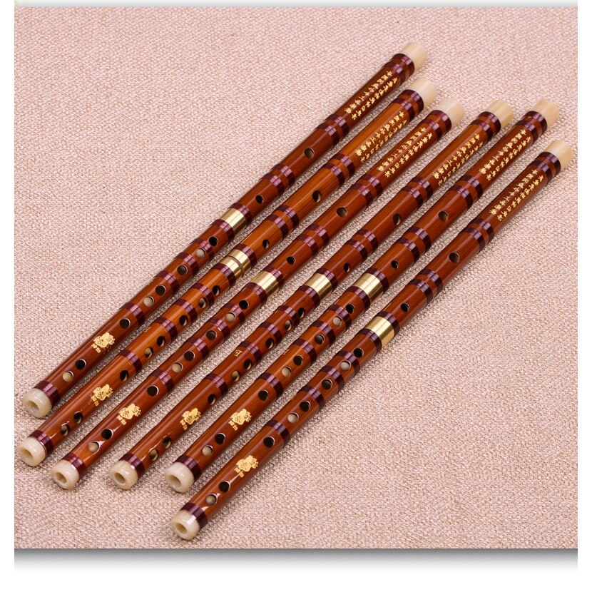 Bitter Bamboo Flute Dizi Handmade Woodwind Instrum... – Vicedeal