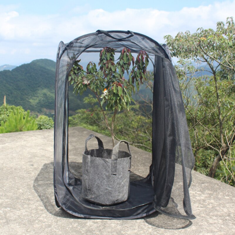 Insect Proof Ant Farm Net Box Foldable Plant Greenhouse Plant Seedlings Incubator Portable Collapsible Insect Cage Ant Farm Box