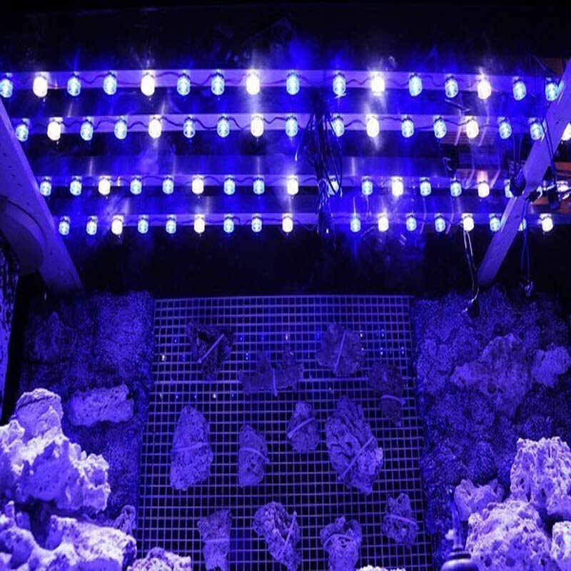 1W 3W High Power LED Chip light PCB emitter Cool White Warm White Red Green Blue with 20MM Star PCB 10PCS