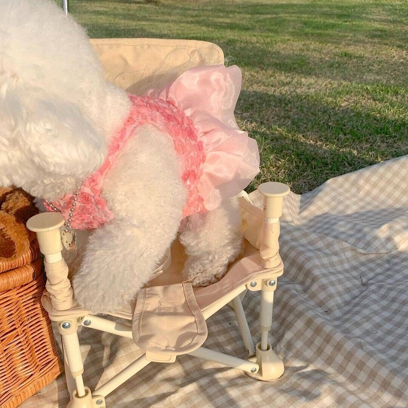 Hond Prinses Jurk Hond Kleding Voor Kleine Honden Puppy Zomerkleding Kant Roze Rose Hond Trouwjurk Chihuahua Pug Hond Rok