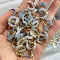 Nuovo 2pcs Pietre Naturali Pendenti Con Gemme E Perle Forma di Mezzaluna Allentato Pendenti Con Gemme E Perle per la Produzione di Gioielli FAI DA TE Collana Accessori Formato 16x17mm: Amazonite
