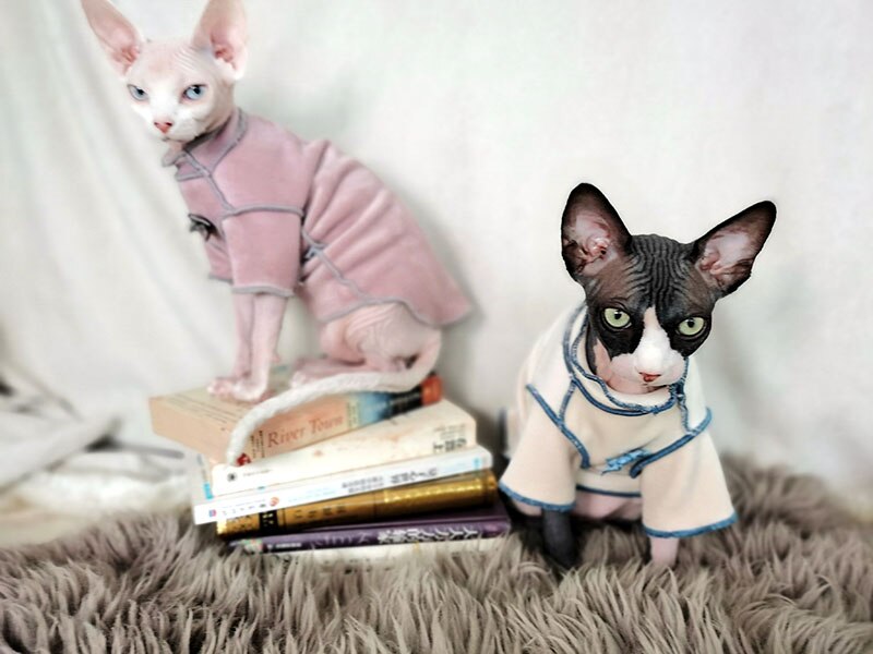 Spring Autumn Wearing Cat Apparel kitten Jumper Hairless Cat Outfits Cat Coat Kitty Cute Cat Clothing Sphynx cat Clothes