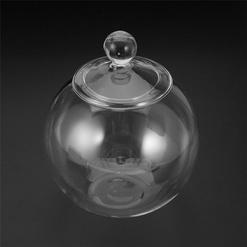 1 Set Diameter 10 Cm Transparent Micro Meaty Bryophytes Landscape Glass Vase Bottle With Cover Home Wedding Decor Craft