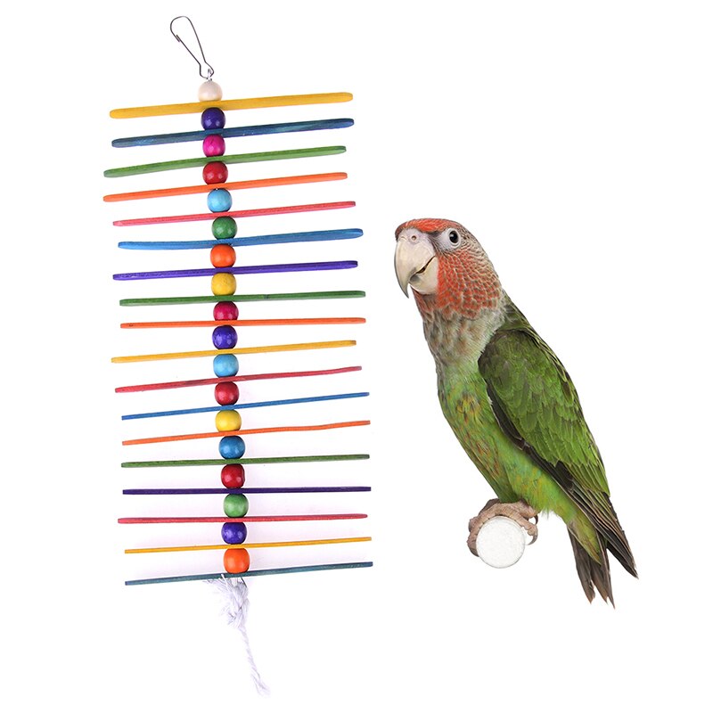 Kleine Papegaai Opknoping Scheuren Speelgoed En Ijslollystokken Vogel Speelgoed Voor Huisdier Vogel Speelgoed