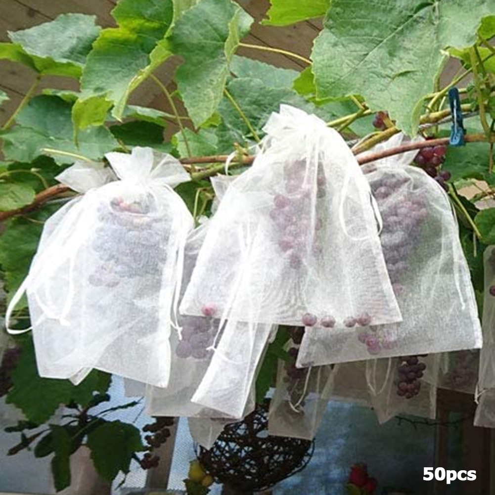 50Pcs Aardbei Druiven Fruit Bescherming Zakken Ongediertebestrijding Anti-Vogel Tuin Netting Zakken Mesh Druif Bag Planter Grow tassen