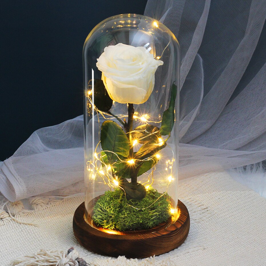 Torkade blommor konserverade rosor i glasskåpa med nattljus ornament bröllop alla hjärtans dag jul år heminredning: Vit med ljus