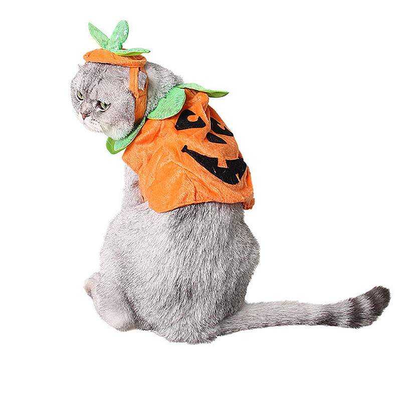 Cute Pet Cat Clothes Warm Fleece Pet Winter Cat Costume For Small Cats Kitten Jumpsuits Clothing Cat Coat Jacket Pets Dog Cloth