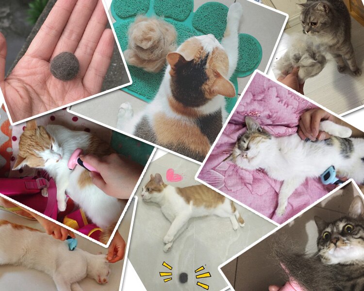 Kjæledyrhårfjerner kam for hund børste stell katt dyr pelsfjerning avskjæringsverktøy avtagbart klippeutstyr