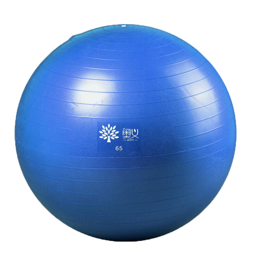 Yoga Ball Exercise Ball Ant-Burst Workout for Pilates, Gym Training Home Gym: Blue