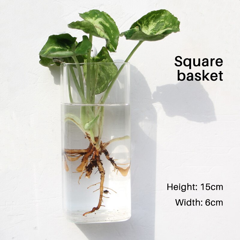 Foam Box Packing Aquarium Tank Fish Bowl Decoration Wall Hanging Aquatic Pet Supplies For Flower Arrangement Horticulture Fish