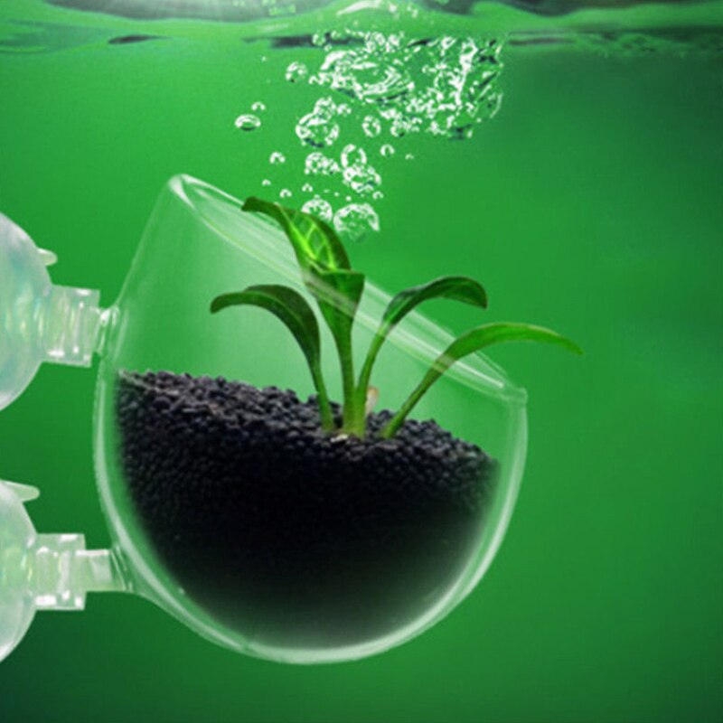 Aquarium Accessoires Crystal Clear Glas Plant Pot Plant Bekerhouder Aquarium Landschappen Cups