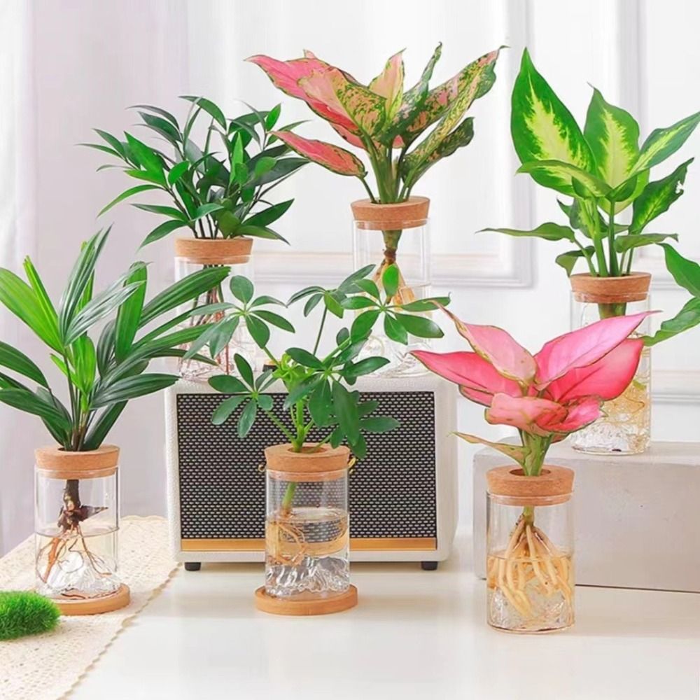 Plants Holder Glass Flower Vase Thickened Transparent Flower Pot Mini Mountain Viewing Bottle