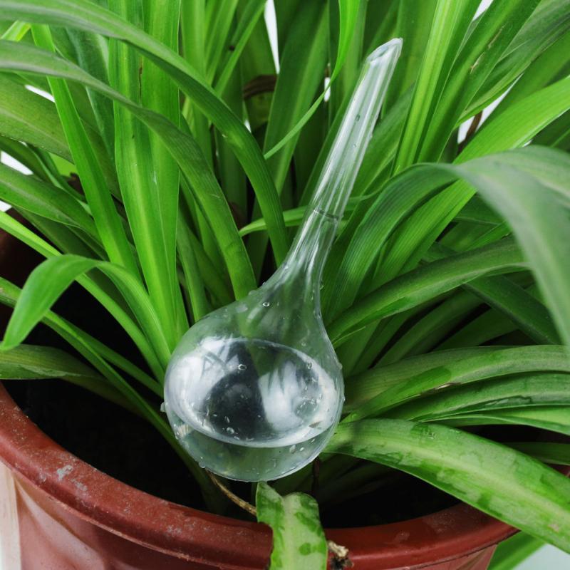 3 Pcs Automatic Watering Device Houseplant Plant Pot Bulb Globe House Garden Waterer high PVC plant waterer S/L 4 Colors